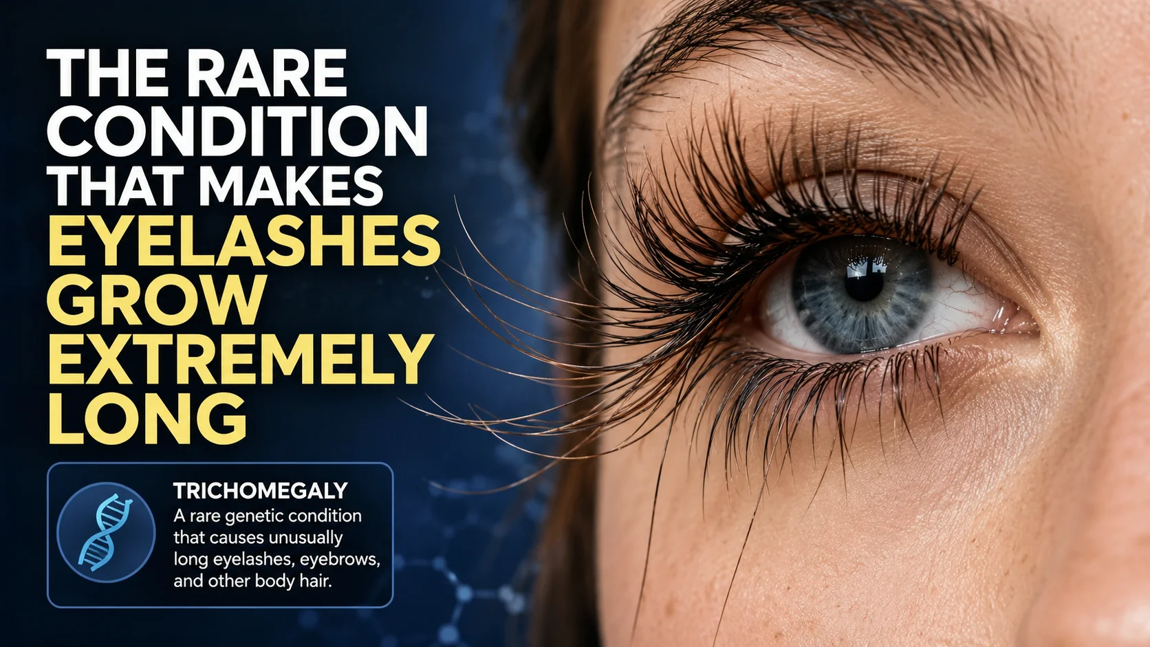 eyelashes health