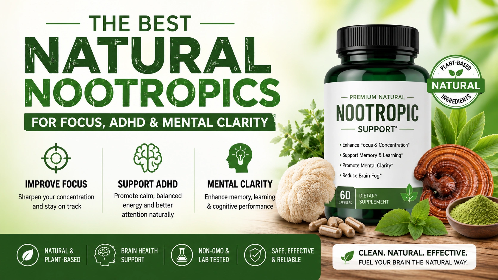 natural nootropics